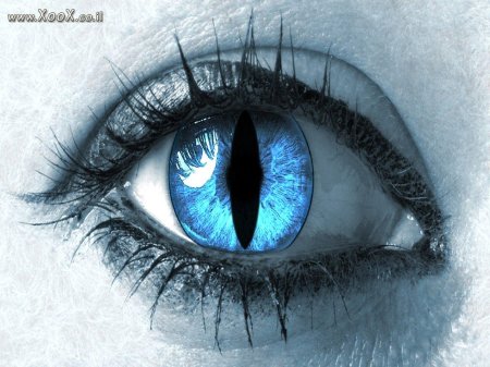 Синие глаза