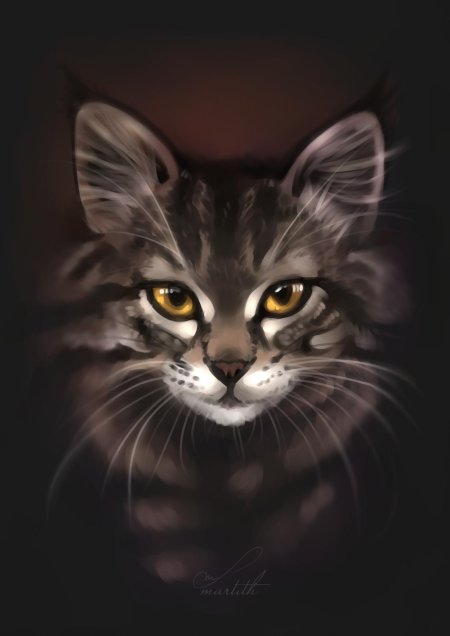 Коты воители белый кот с коричневыми