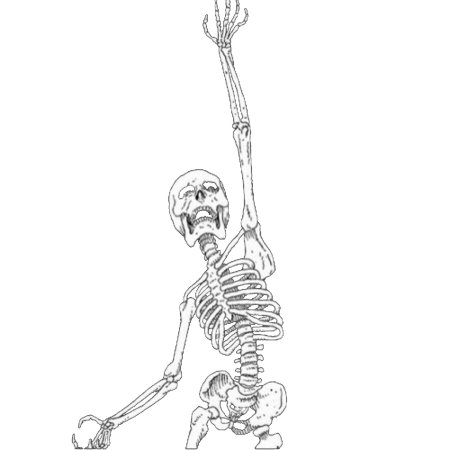 Рисунки для срисовки скелет
