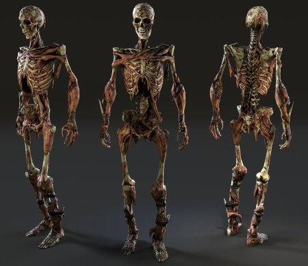 Скелет из игры