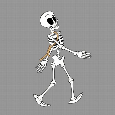 Рисунки скелет