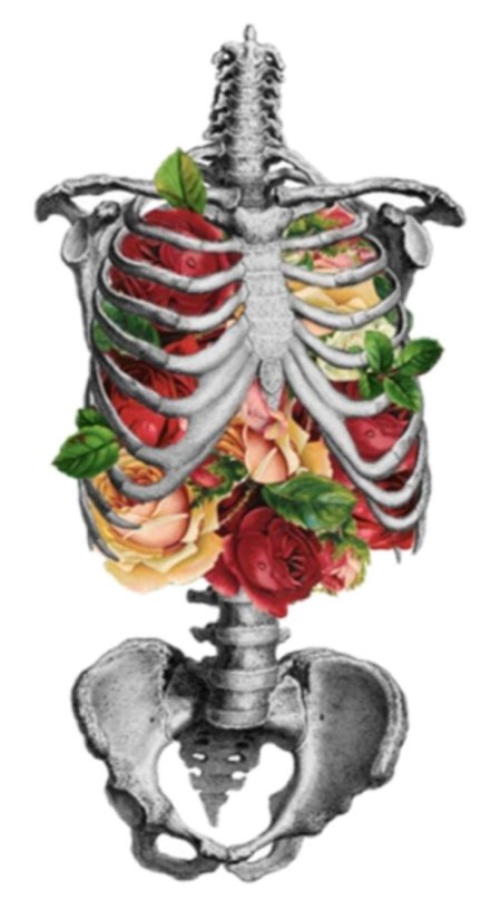 Скелет с цветами