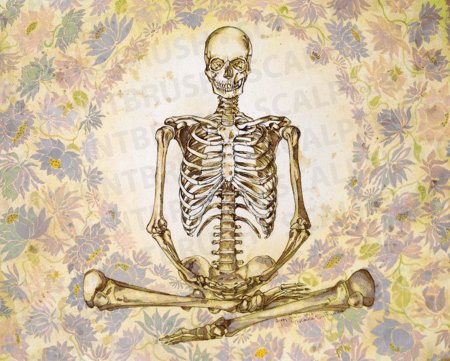 Человека скелет