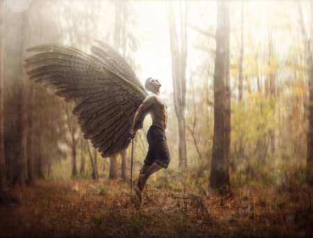 Люди с крыльями