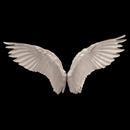 Крылья у ангела