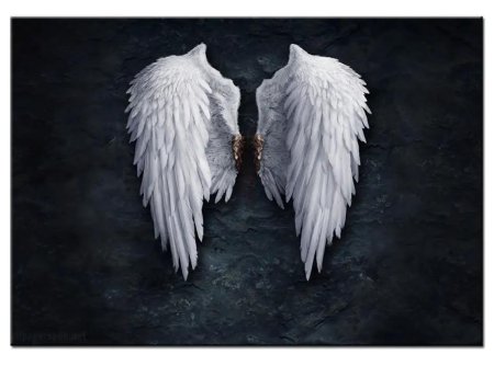 Картина крылья ангела на холсте