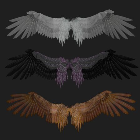 Красивые крылья