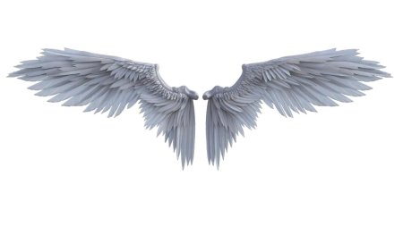 Крылья ангела на прозрачном фоне