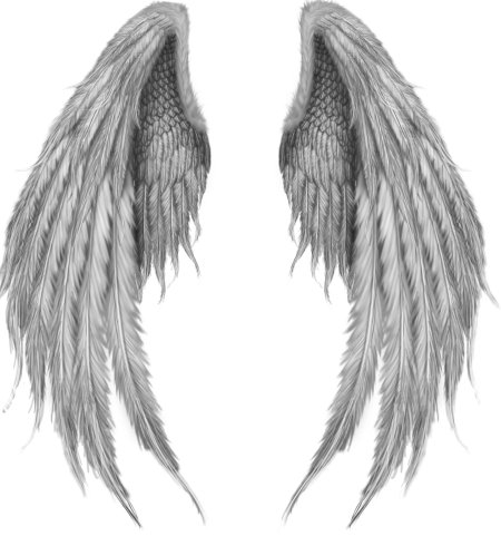 Крылья ангела