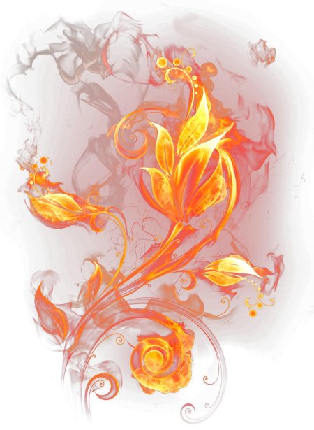 Огненные цветы