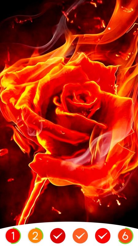 Огненные цветы