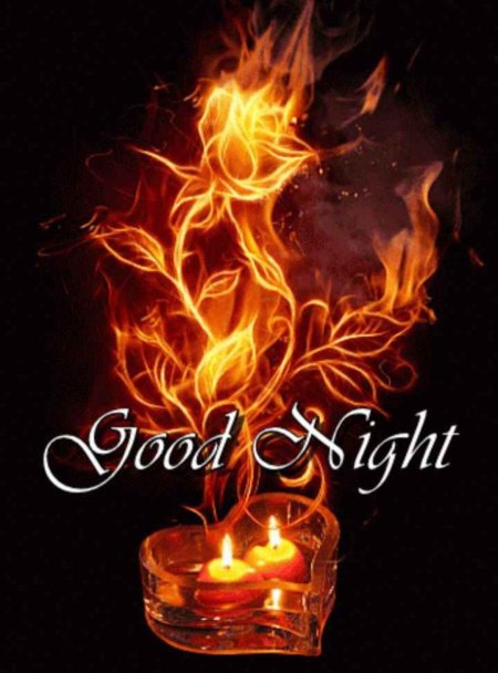 Огненные цветы