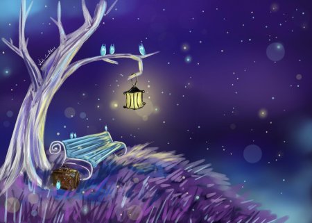 Волшебная ночь