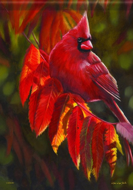 Красная птица