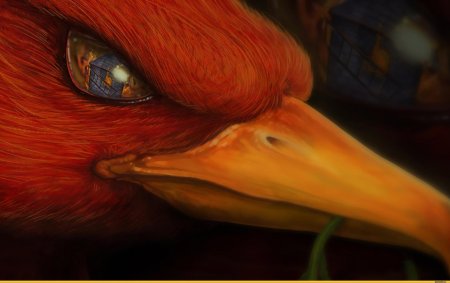 Глаза феникса