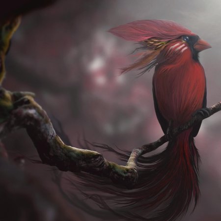 Кардинал птица