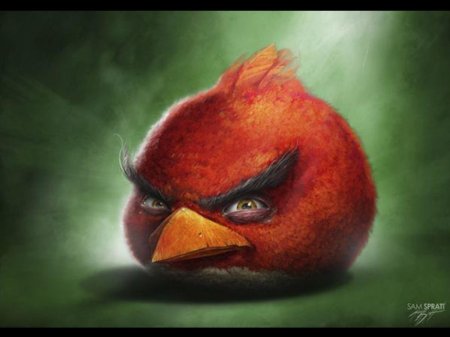 Sam spratt angry birds