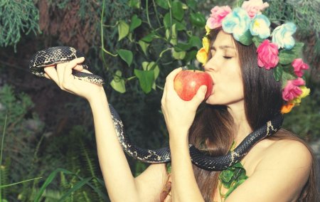 Ева змей искуситель яблоко