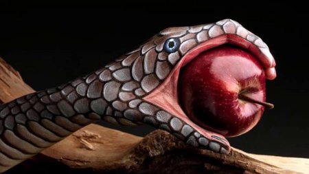 Ева змей искуситель яблоко арт