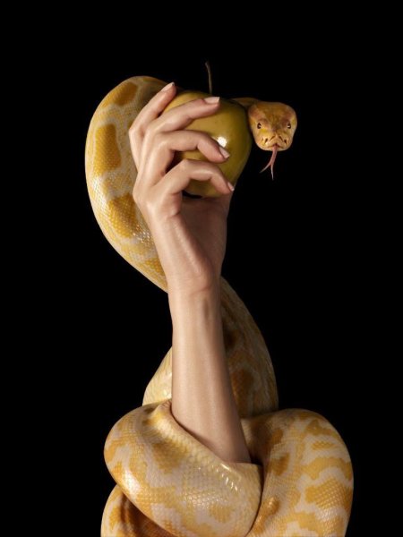 Змей искуситель