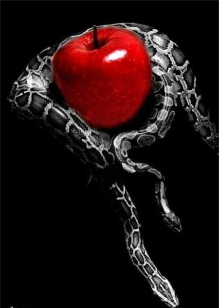 Запретный плод змей искуситель