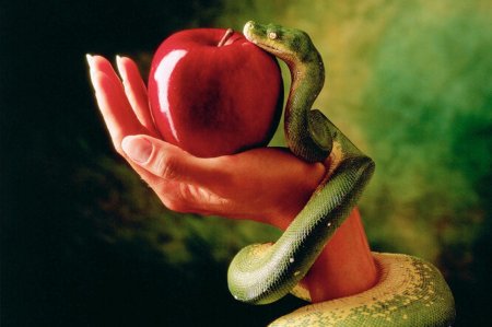 Змей искуситель