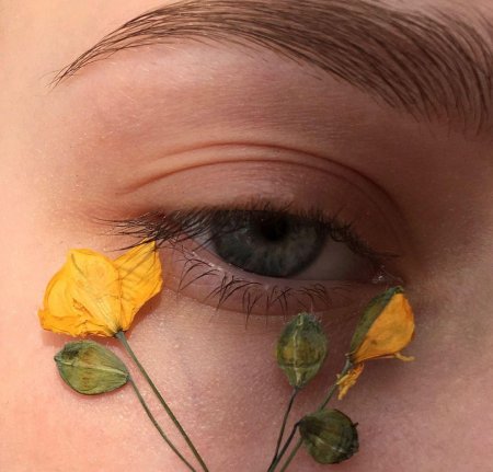 Эстетика глаз