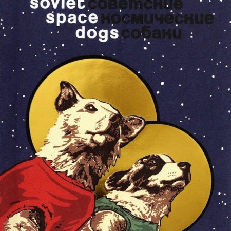 Собака в космосе