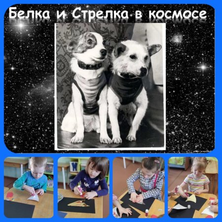 Белка и стрелка полет в космос