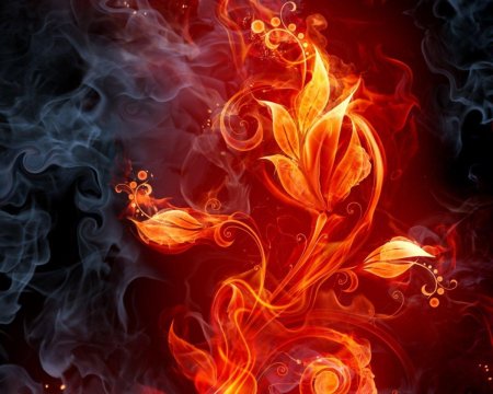 Огненные цветы