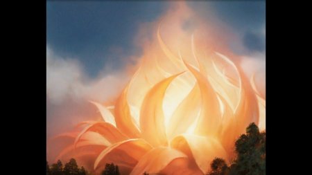 Огненный лотос