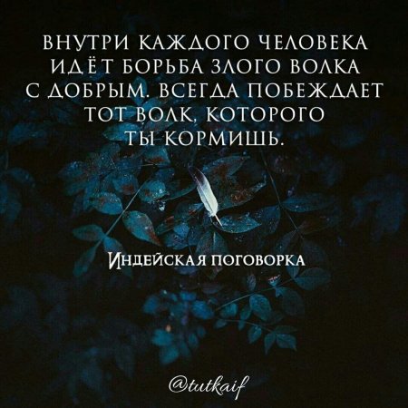 Внутри каждого человека идёт борьба злого волка с добрым