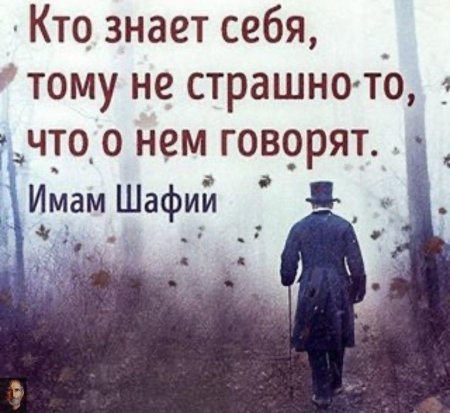 Высказывания имама шафии