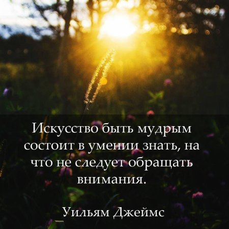 Искусство быть мудрым состоит в умении