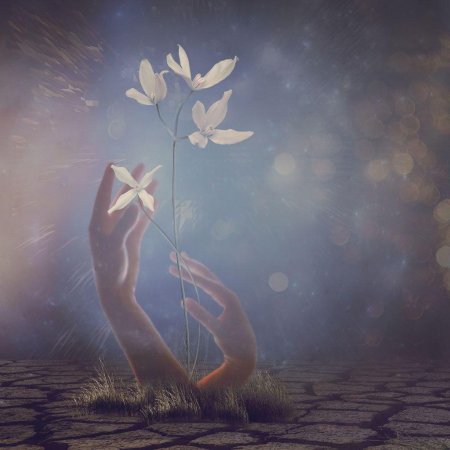 Нежность души