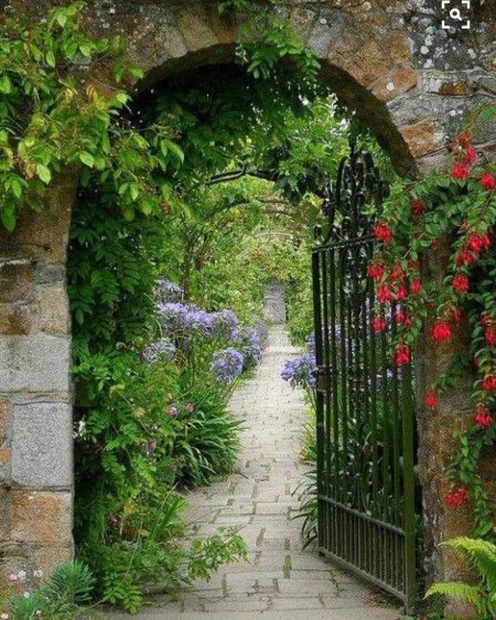 Арка увитая плющом