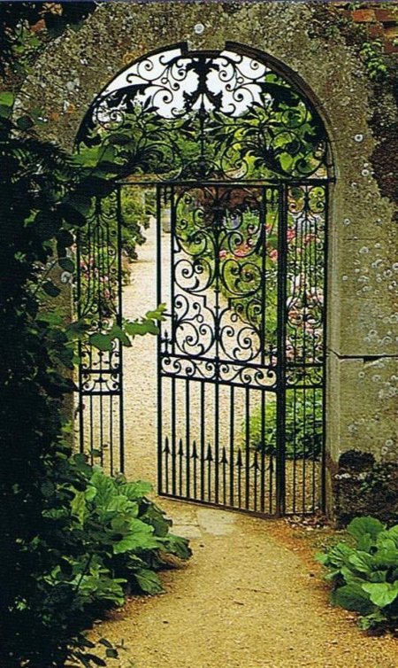 Гарден гейт (garden gate) плетистая