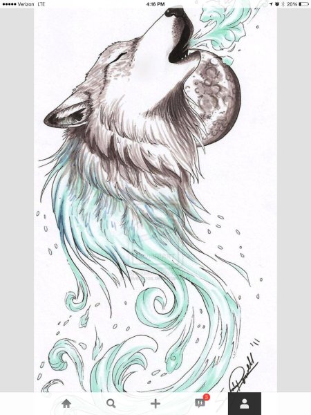 Рисунки волка