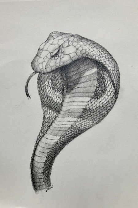 Королевская кобра тату эскизы