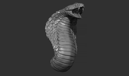 Cobra 3d model