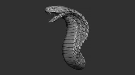 Cobra 3d model