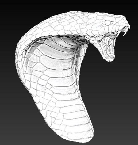 Cobra 3d model
