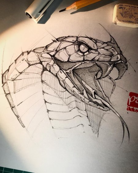 Королевская кобра тату эскизы