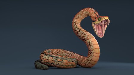 Змея королевская кобра