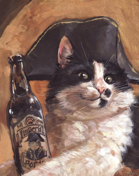 Кот с вином