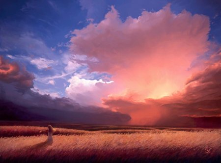 Закат в поле