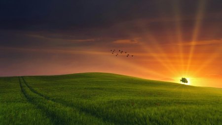 Закат в полях