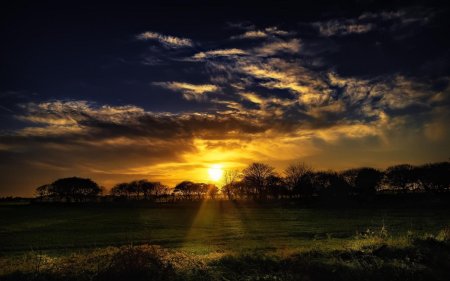 Закат в поле