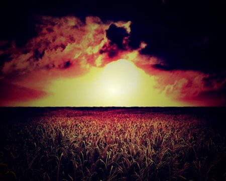 Закат в поле