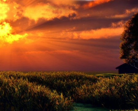 Закат в поле